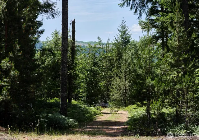 Photo 3 of Land for sale at 2 Phyllis Ann Block Ct, Cougar, WA 98616 | MLS# NWM2397082 | Listing updated on 2026-09-17