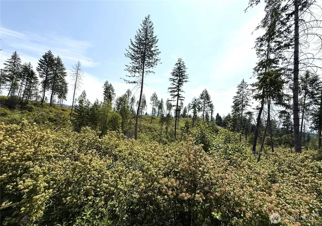 Photo 1 of Land for sale at 0 Lot 1 Rockabye Ln, Curlew, WA 99118 | MLS# NWM2398284 | Listing updated on 2026-09-17