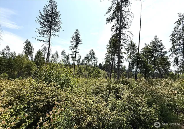 Photo 2 of Land for sale at 0 Lot 1 Rockabye Ln, Curlew, WA 99118 | MLS# NWM2398284 | Listing updated on 2026-09-17