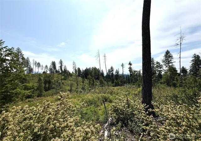 Photo 3 of Land for sale at 0 Lot 1 Rockabye Ln, Curlew, WA 99118 | MLS# NWM2398284 | Listing updated on 2026-09-17