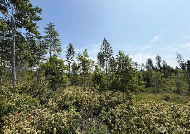 Photo 3 of Land for sale at 0 Lot 1 Rockabye Ln, Curlew, WA 99118 | MLS# NWM2398284 | Listing updated on 2026-09-17