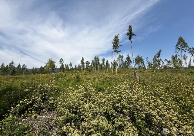 Photo 4 of Land for sale at 0 Lot 1 Rockabye Ln, Curlew, WA 99118 | MLS# NWM2398284 | Listing updated on 2026-09-17