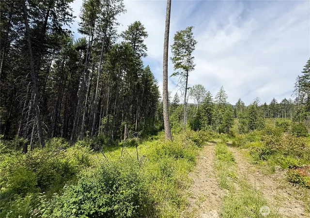 Photo 2 of Land for sale at 0 Lot 2 Rockabye Ln, Curlew, WA 99118 | MLS# NWM2398318 | Listing updated on 2026-09-17