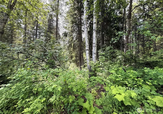 Photo 3 of Land for sale at 0 Lot 2 Rockabye Ln, Curlew, WA 99118 | MLS# NWM2398318 | Listing updated on 2026-09-17