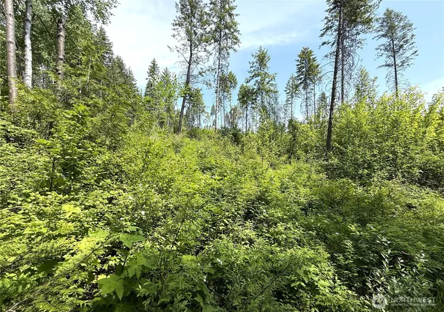 Photo 3 of Land for sale at 0 Lot 2 Rockabye Ln, Curlew, WA 99118 | MLS# NWM2398318 | Listing updated on 2026-09-17