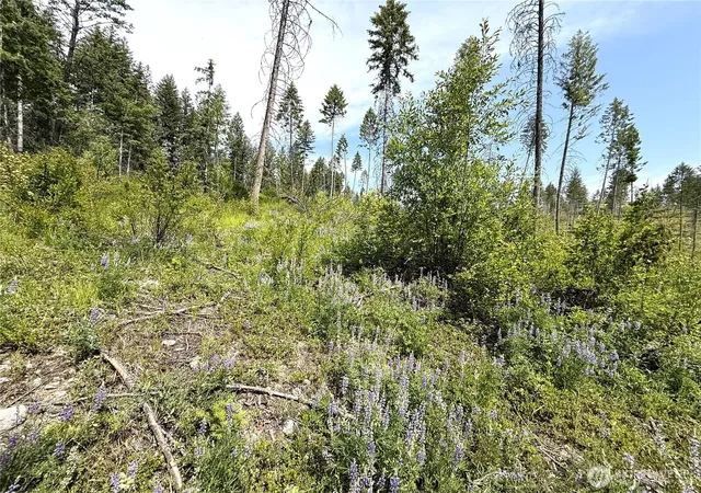 Photo 4 of Land for sale at 0 Lot 2 Rockabye Ln, Curlew, WA 99118 | MLS# NWM2398318 | Listing updated on 2026-09-17