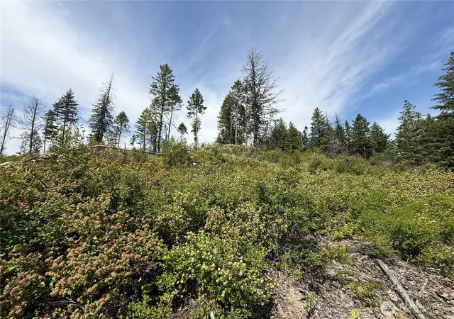 Photo 2 of Land for sale at 0 Lot 3 Rockabye Ln, Curlew, WA 99118 | MLS# NWM2398380 | Listing updated on 2026-09-17