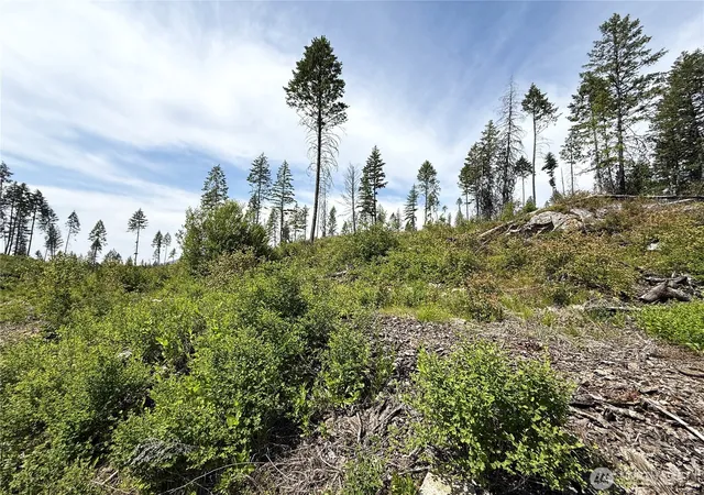 Photo 3 of Land for sale at 0 Lot 3 Rockabye Ln, Curlew, WA 99118 | MLS# NWM2398380 | Listing updated on 2026-09-17