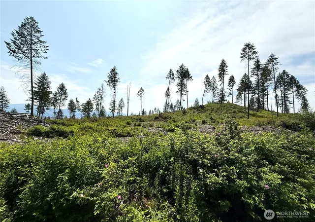 Photo 3 of Land for sale at 0 Lot 3 Rockabye Ln, Curlew, WA 99118 | MLS# NWM2398380 | Listing updated on 2026-09-17