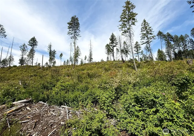 Photo 4 of Land for sale at 0 Lot 3 Rockabye Ln, Curlew, WA 99118 | MLS# NWM2398380 | Listing updated on 2026-09-17