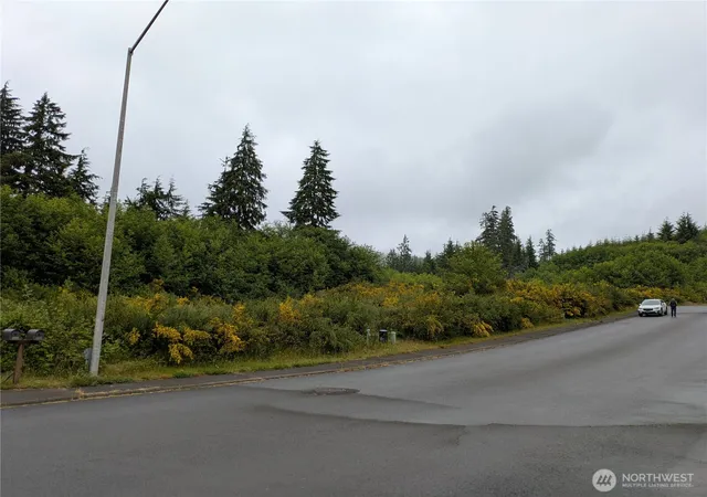 Photo 4 of Land for sale at 3261 Sanderling Dr, Hoquiam, WA 98550 | MLS# NWM2398490 | Listing updated on 2026-09-17