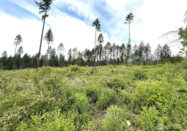 Photo 1 of Land for sale at 0 Lot 4 Rockabye Ln, Curlew, WA 99118 | MLS# NWM2398516 | Listing updated on 2026-09-17
