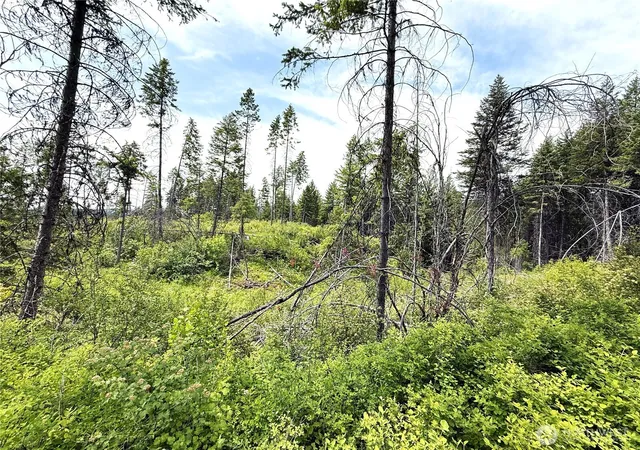 Photo 2 of Land for sale at 0 Lot 4 Rockabye Ln, Curlew, WA 99118 | MLS# NWM2398516 | Listing updated on 2026-09-17