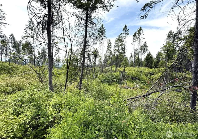 Photo 3 of Land for sale at 0 Lot 4 Rockabye Ln, Curlew, WA 99118 | MLS# NWM2398516 | Listing updated on 2026-09-17