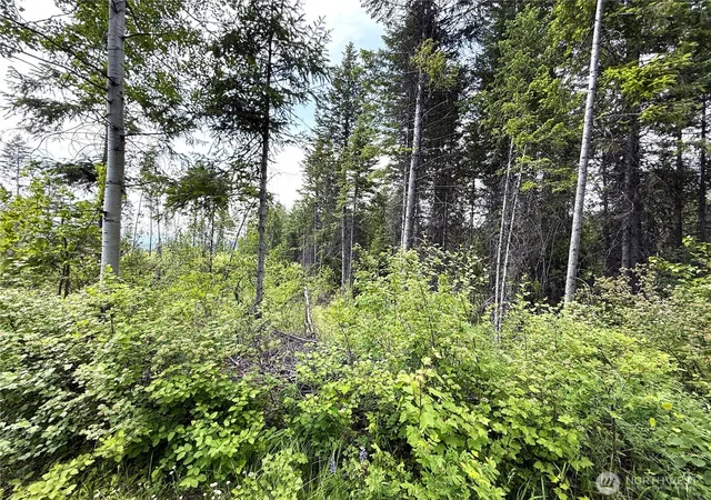 Photo 3 of Land for sale at 0 Lot 4 Rockabye Ln, Curlew, WA 99118 | MLS# NWM2398516 | Listing updated on 2026-09-17