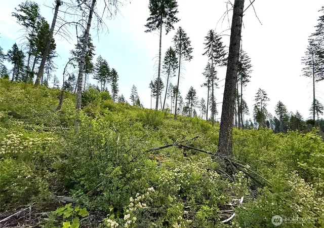 Photo 4 of Land for sale at 0 Lot 4 Rockabye Ln, Curlew, WA 99118 | MLS# NWM2398516 | Listing updated on 2026-09-17
