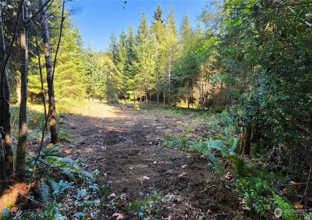 Photo 3 of Land for sale at 5728 Duane Ln Nw, Olympia, WA 98502 | MLS# NWM2399233 | Listing updated on 2026-09-16