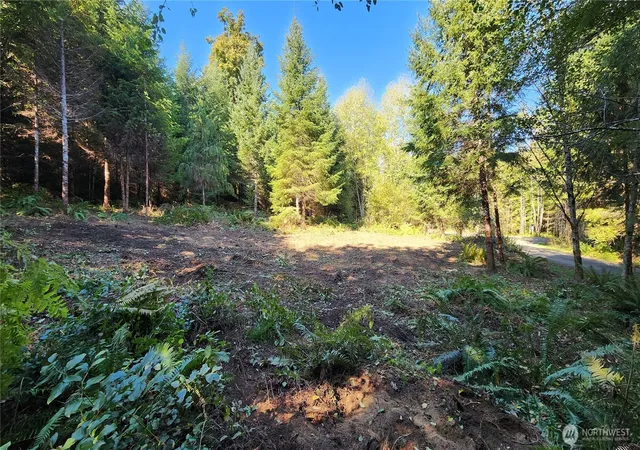 Photo 3 of Land for sale at 5728 Duane Ln NW, Olympia, WA 98502 | MLS# NWM2399233 | Listing updated on 2026-09-16