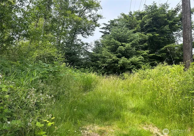Photo 3 of Land for sale at 3474 Old Hwy 99 Rd N, Burlington, WA 98233 | MLS# NWM2400412 | Listing updated on 2026-09-17
