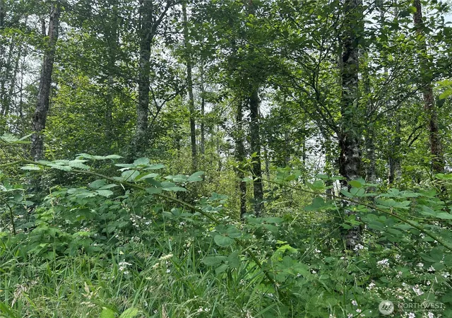 Photo 4 of Land for sale at 3474 Old Hwy 99 Rd N, Burlington, WA 98233 | MLS# NWM2400412 | Listing updated on 2026-09-17