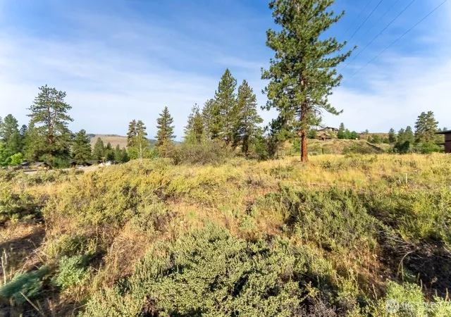 Photo 3 of Land for sale at 615 Pine Loop, Winthrop, WA 98862 | MLS# NWM2400592 | Listing updated on 2026-09-17
