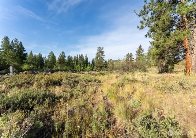 Photo 4 of Land for sale at 615 Pine Loop, Winthrop, WA 98862 | MLS# NWM2400592 | Listing updated on 2026-09-17
