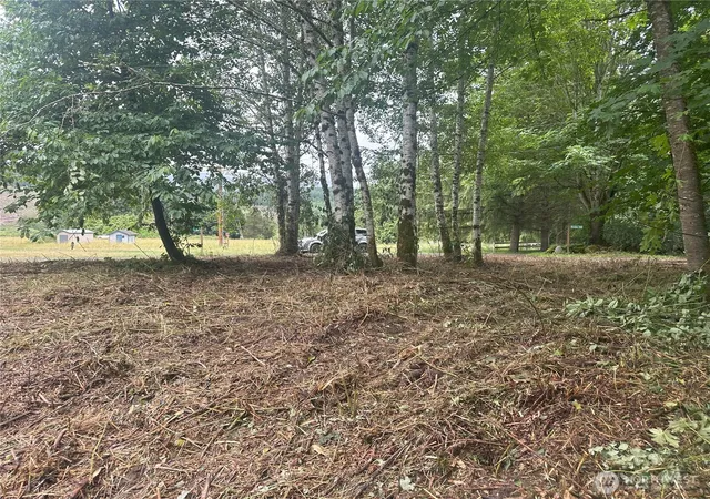 Photo 2 of Land for sale at 0 Xxxx Skidder Hl Rd, Quilcene, WA 98376 | MLS# NWM2400640 | Listing updated on 2026-09-17