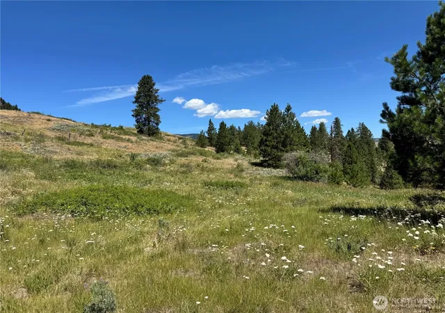 Photo 1 of Land for sale at 1 A Lundimo Meadows Rd, Curlew, WA 99118 | MLS# NWM2401057 | Listing updated on 2026-09-17
