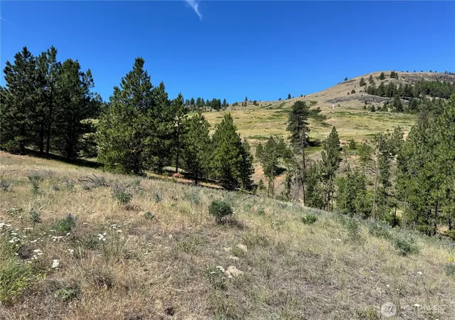 Photo 2 of Land for sale at 1 A Lundimo Meadows Rd, Curlew, WA 99118 | MLS# NWM2401057 | Listing updated on 2026-09-17