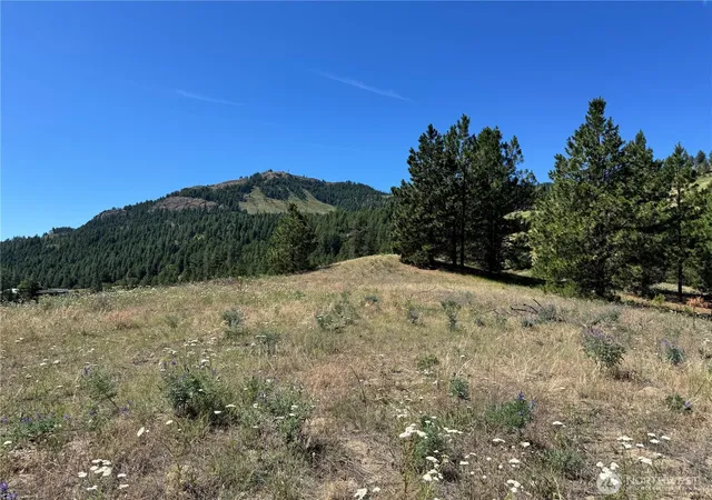 Photo 3 of Land for sale at 1 A Lundimo Meadows Rd, Curlew, WA 99118 | MLS# NWM2401057 | Listing updated on 2026-09-17