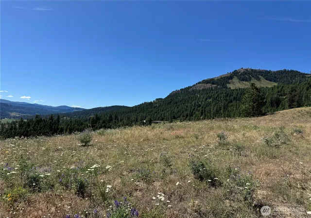 Photo 3 of Land for sale at 1 A Lundimo Meadows Rd, Curlew, WA 99118 | MLS# NWM2401057 | Listing updated on 2026-09-17