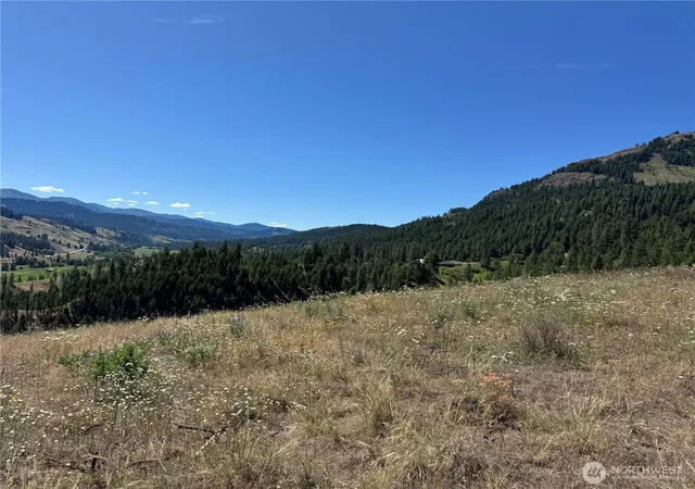 Photo 4 of Land for sale at 1 A Lundimo Meadows Rd, Curlew, WA 99118 | MLS# NWM2401057 | Listing updated on 2026-09-17