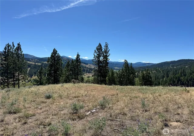 Photo 1 of Land for sale at 2 B Lundimo Meadows Rd, Curlew, WA 99118 | MLS# NWM2401069 | Listing updated on 2026-09-17