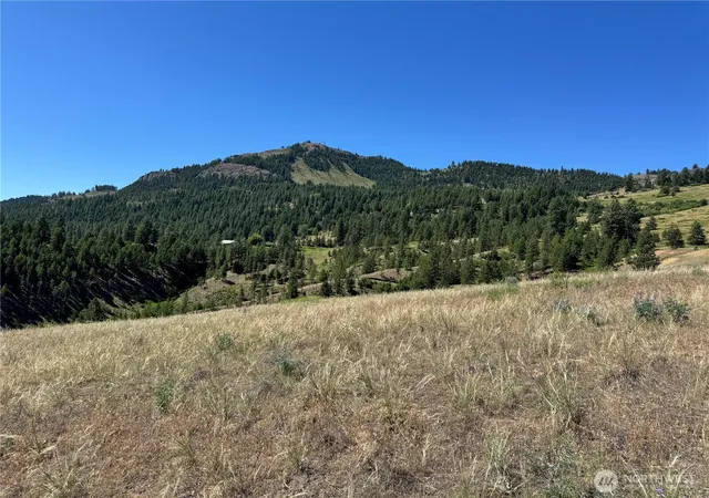 Photo 2 of Land for sale at 2 B Lundimo Meadows Rd, Curlew, WA 99118 | MLS# NWM2401069 | Listing updated on 2026-09-17