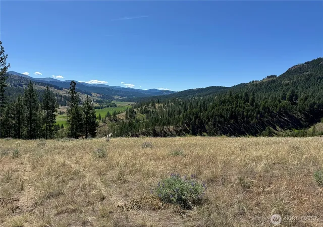 Photo 3 of Land for sale at 2 B Lundimo Meadows Rd, Curlew, WA 99118 | MLS# NWM2401069 | Listing updated on 2026-09-17