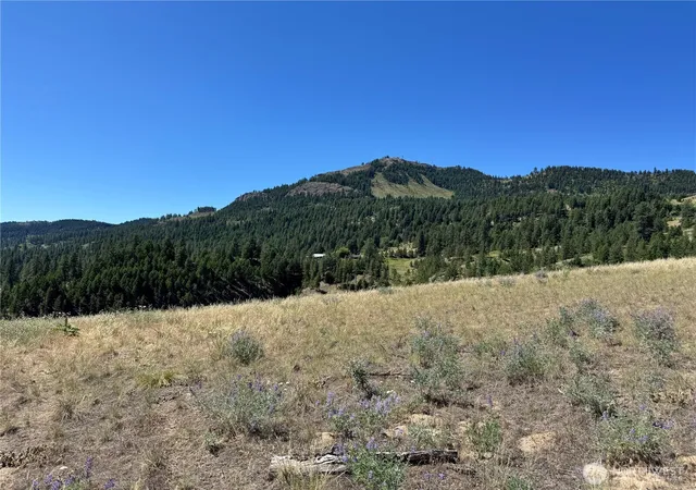 Photo 3 of Land for sale at 2 B Lundimo Meadows Rd, Curlew, WA 99118 | MLS# NWM2401069 | Listing updated on 2026-09-17