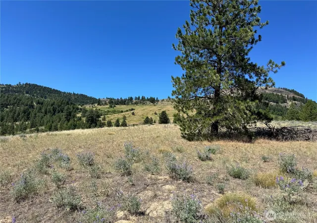 Photo 4 of Land for sale at 2 B Lundimo Meadows Rd, Curlew, WA 99118 | MLS# NWM2401069 | Listing updated on 2026-09-17
