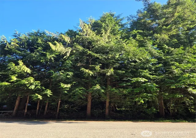 Photo 1 of Land for sale at 0 Baker Dr, Concrete, WA 98237 | MLS# NWM2401149 | Listing updated on 2026-09-17