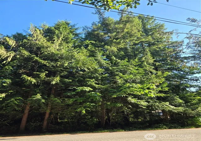 Photo 2 of Land for sale at 0 Baker Dr, Concrete, WA 98237 | MLS# NWM2401149 | Listing updated on 2026-09-17