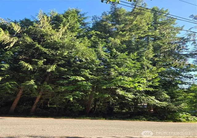 Photo 3 of Land for sale at 0 Baker Dr, Concrete, WA 98237 | MLS# NWM2401149 | Listing updated on 2026-09-17