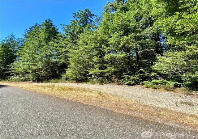Photo 1 of Land for sale at 0 E Xxx Balmoral Way, Shelton, WA 98584 | MLS# NWM2401176 | Listing updated on 2026-09-17