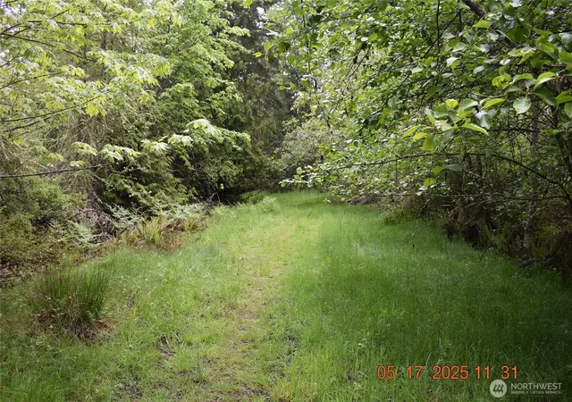 Photo 2 of Land for sale at 0 Lot 40 Township Line Rd, Port Angeles, WA 98362 | MLS# NWM2401884 | Listing updated on 2026-09-17