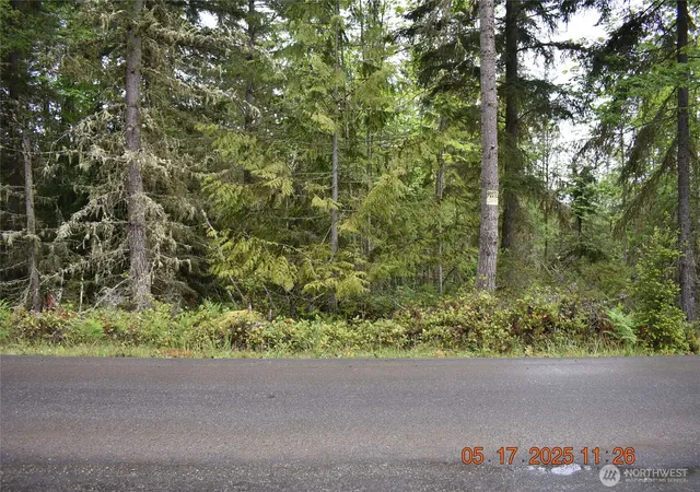 Photo 3 of Land for sale at 0 Lot 40 Township Line Rd, Port Angeles, WA 98362 | MLS# NWM2401884 | Listing updated on 2026-09-17