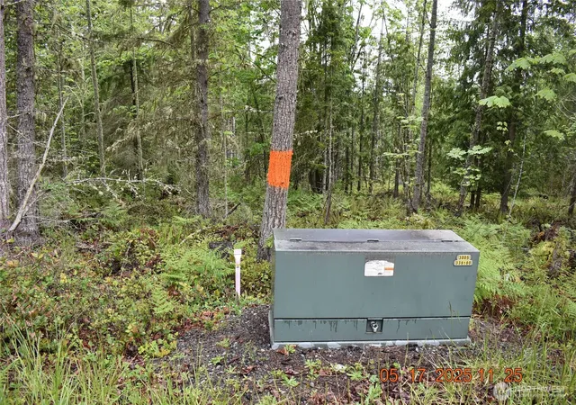 Photo 4 of Land for sale at 0 Lot 40 Township Line Rd, Port Angeles, WA 98362 | MLS# NWM2401884 | Listing updated on 2026-09-17