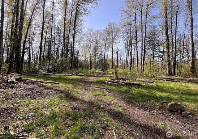 Photo 4 of Land for sale at 35 Xxx Cumberland Way SE, Enumclaw, WA 98022 | MLS# NWM2401996 | Listing updated on 2026-09-17