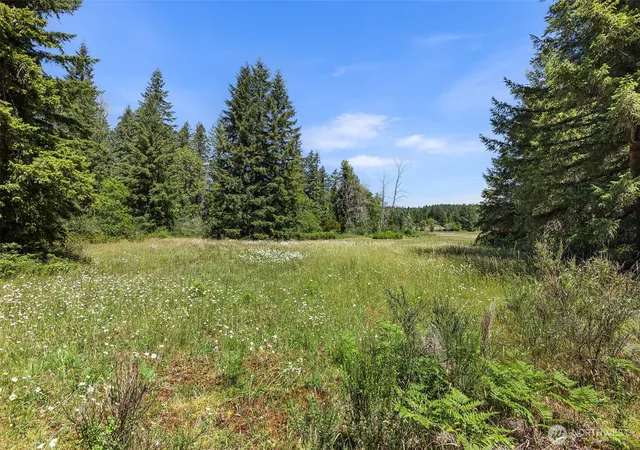 Photo 1 of Sale Pending at 22030 Peissner Rd Se, Yelm, WA 98597 | MLS# NWM2402096 | Listing updated on 2026-09-30