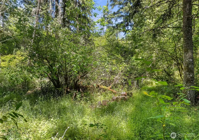 Photo 2 of Sale Pending at 22030 Peissner Rd Se, Yelm, WA 98597 | MLS# NWM2402096 | Listing updated on 2026-09-30