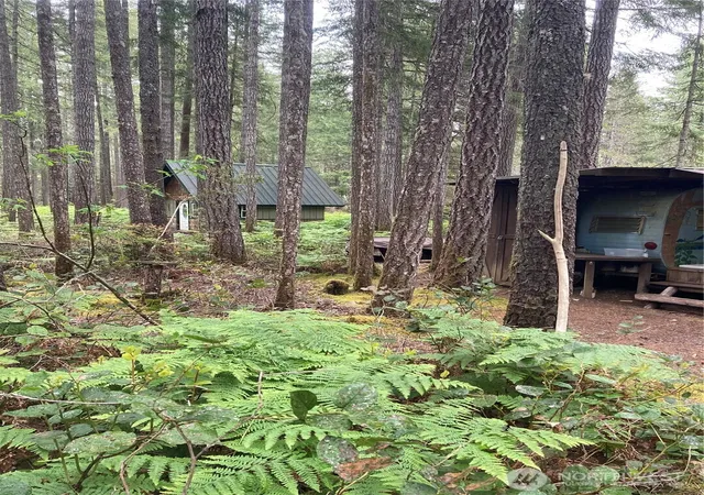 Photo 1 of Land for sale at 40 N Snapper Dr, Hoodsport, WA 98548 | MLS# NWM2403120 | Listing updated on 2026-09-17