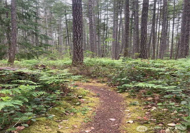 Photo 2 of Land for sale at 40 N Snapper Dr, Hoodsport, WA 98548 | MLS# NWM2403120 | Listing updated on 2026-09-17