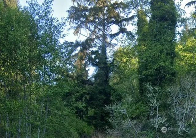 Photo 1 of Land for sale at 0 Cosgrove St, Hoquiam, WA 98550 | MLS# NWM2403284 | Listing updated on 2026-09-17